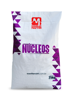 NÚCLEO PRÓ MULTI